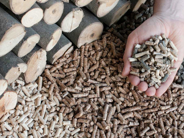 Z Grills 8-in-1 Wood Pellet Grill and Smoker